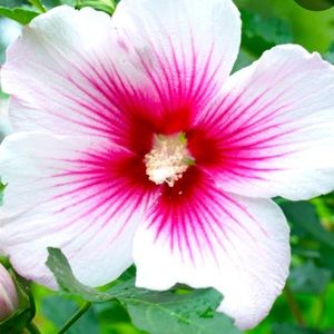 Meet your Posher, Ashleigh